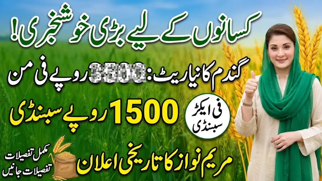 Wheat Rate Issued by the Punjab Government 2026
